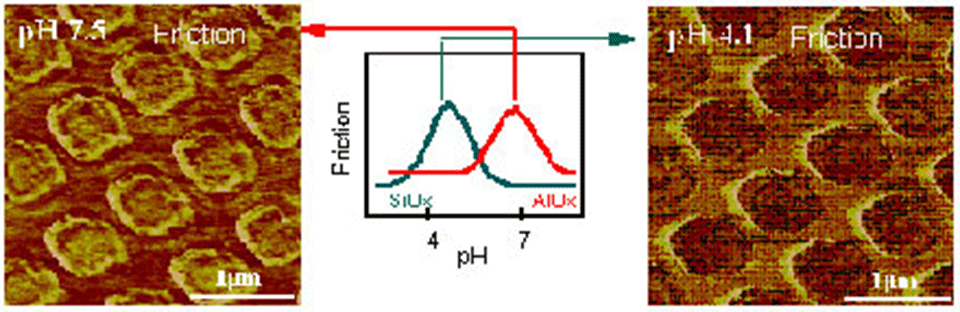 Enlarged view: Figure 1: The chemical contrast between an AlOx pattern and SiO2 substrate can be changed by changing the pH of the surrounding electrolyte. As shown above contrast can even be reversed due to the specific IEPs of the materials under investigation (left: higher friction on AlOx; right: higher friction signal on SiO2).
