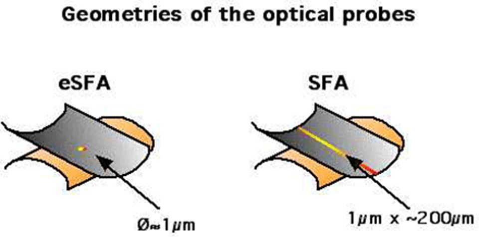 Enlarged view: Figure 5: Schematic comparision between the optical probes of eSFA and SFA.