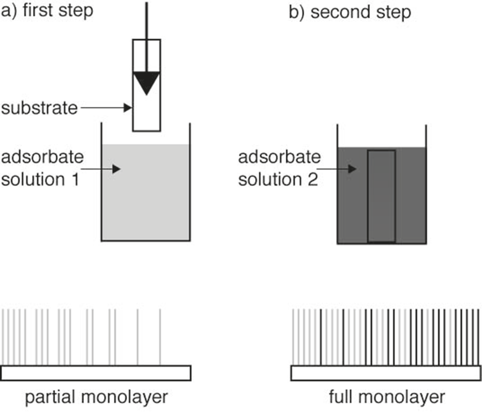 Enlarged view: Fig. 2: Gradient preparation procedure. During a first step a coverage gradient is generated that can optionally be saturated with a second component during a subsequent immersion.