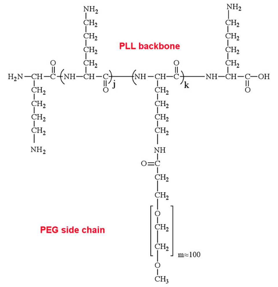 Enlarged view: Figure 1. Molecular structure of PLL-g-PEG (J. Hubbell, D. Elbert, Chem Biol 5: (3) 177-183 (1998))