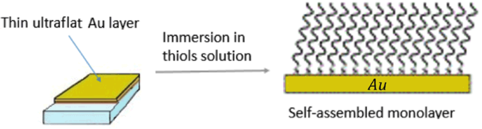 Enlarged view: Figure 1: Schematic of the preparation of a SAM formed by linear-chain thiols on ultraflat gold surface.
