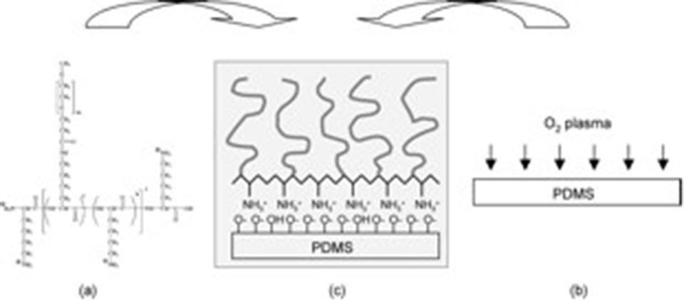 Enlarged view: Figure 1. (a) The molecular structure of PLL-g-PEG. (b) Oxygen-plasma treatment of a PDMS surface. (c) Generation of PLL-g-PEG adlayer on top of oxidized PDMS surface driven by the electrostatic interaction between PLL backbone and negatively charged surface.