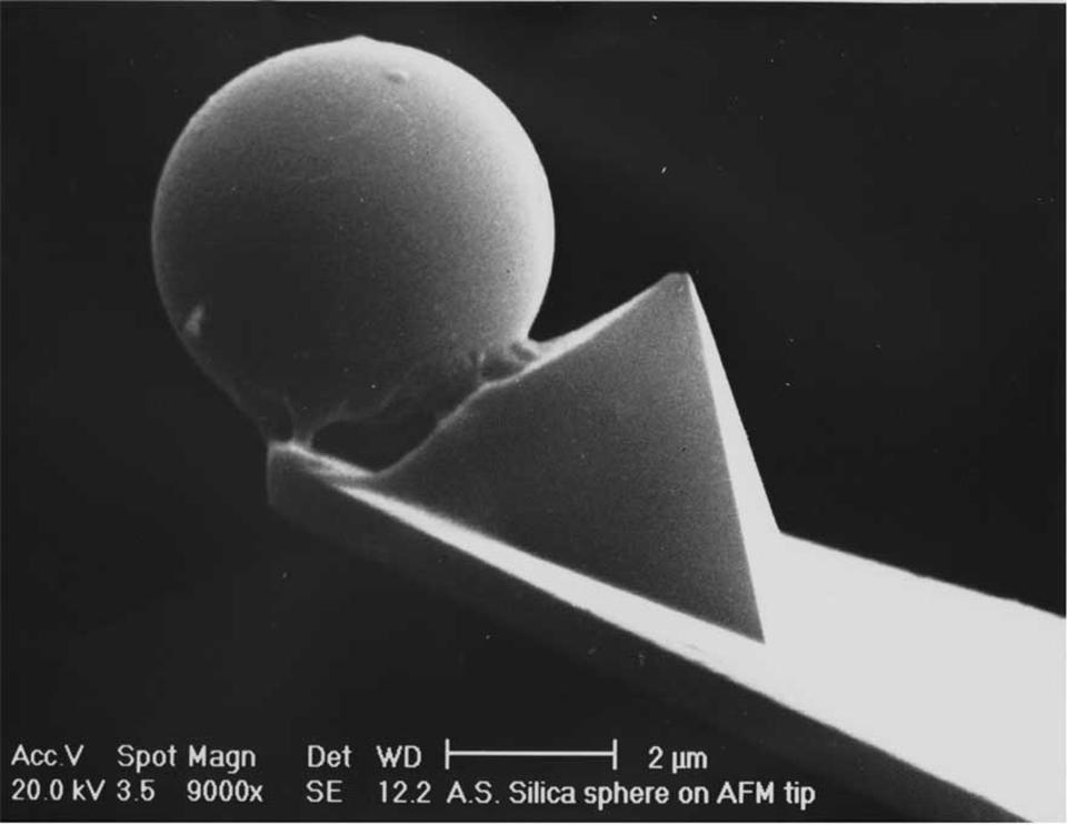 Enlarged view: Figure 2: Scanning electron microscopy image of a silica microsphere glued to a standard AFM tip [H. Griesser]