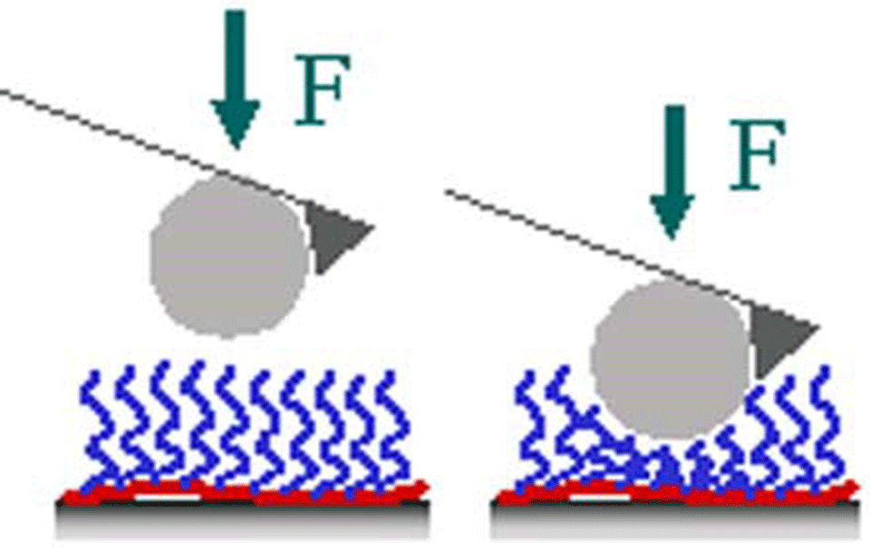 Enlarged view: Figure 3: Response of the PEG layer to compression between the metal oxide surface and a SiO2 microsphere