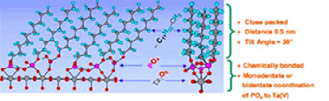 Figure 1. Self-assembled monolayer of alkane phosphate on a tantalum (oxide) surface