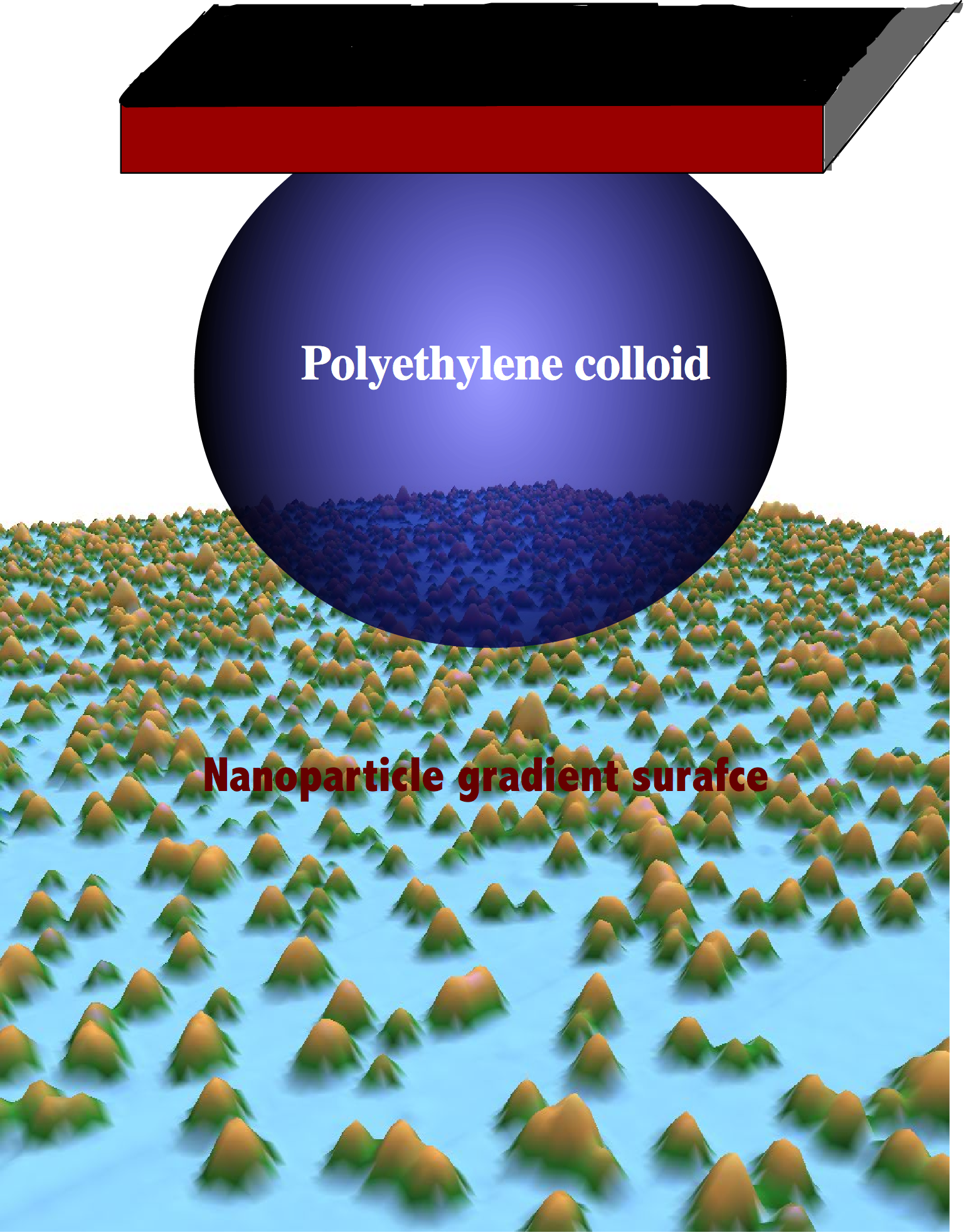 Enlarged view: Schematic of colloid probe AFM on nanoparticle gradient surface