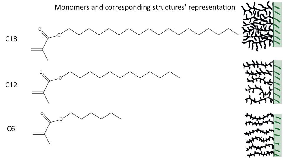 Figure 1. Chemical structures of the monomers used in this study hexyl methacrylate (6MA), dodecyl methacrylate (12MA), and octadecyl methacrylate (18MA). On the right, schematically presented bottle- brush-like structures of the corresponding polymer coatings
